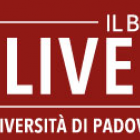 logo ilbolive