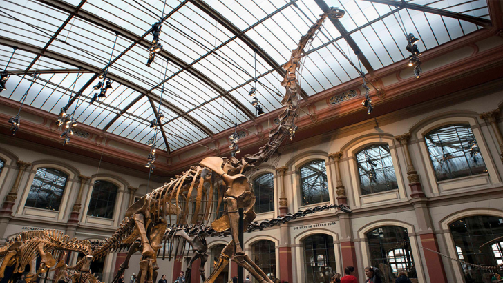 dinosauro